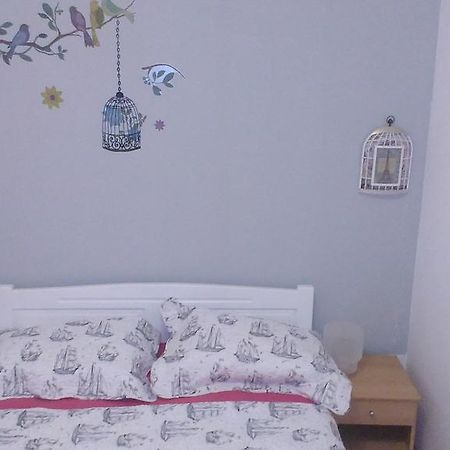 Apartment Buba Шибеник Екстер'єр фото